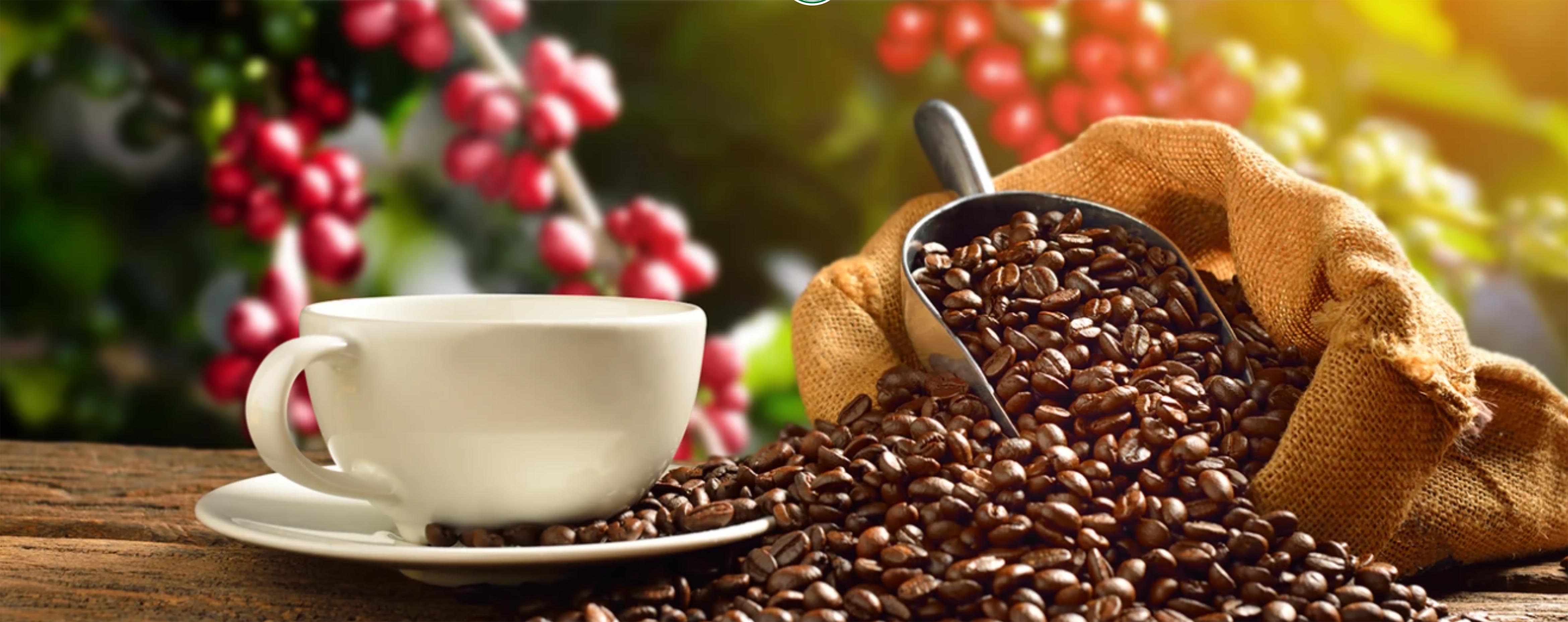What trends offer opportunities or risks in the European coffee market?